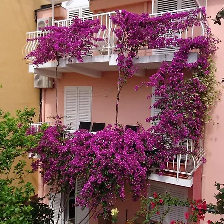 Jaksa Apartament